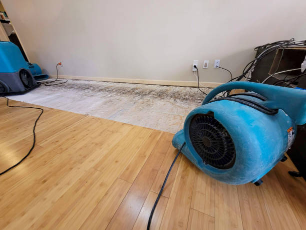 Professional Basement Flood Cleanup technician working in Short Creek, WV